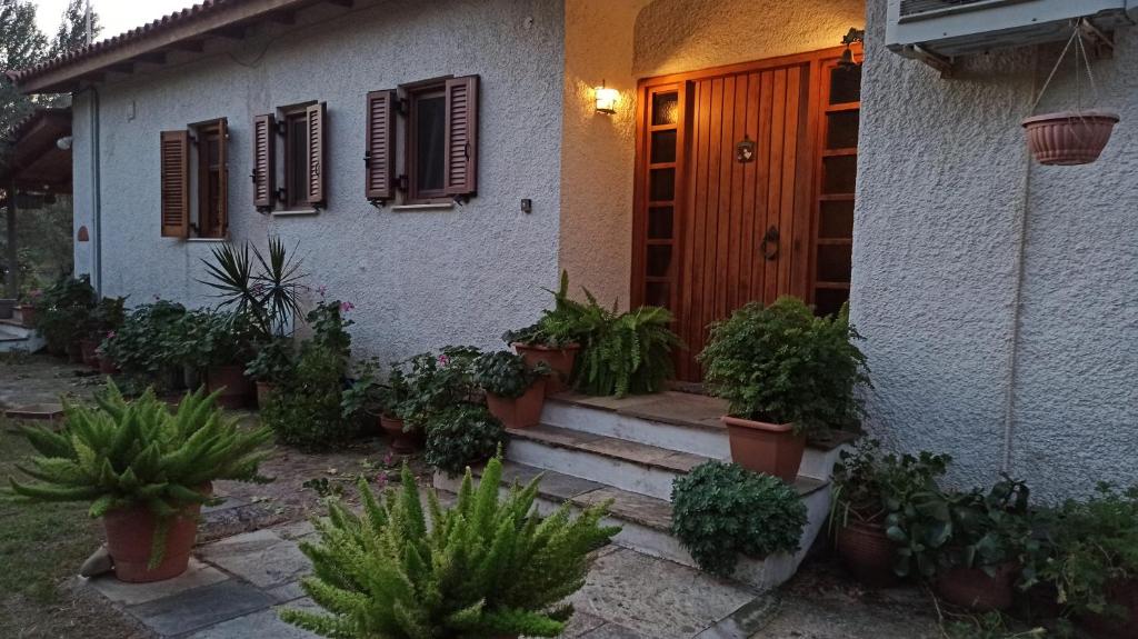 Vonkajšia záhrada v ubytovaní Nafpaktos cottage by the sea for travelers and dreamers!