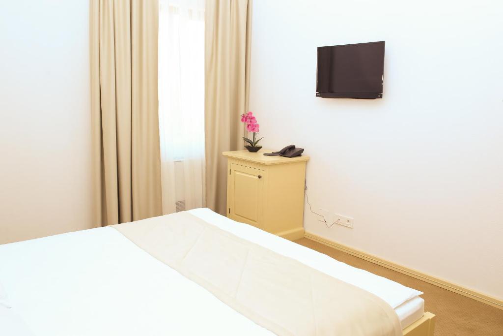 TV a/nebo společenská místnost v ubytování Hotel Bohemia