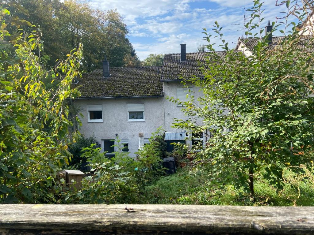 una casa vieja en medio de un patio en In Saarbrücken Stadtnahe gemütliche Wohnung am Deutsch-Französischen Garten, en Saarbrücken