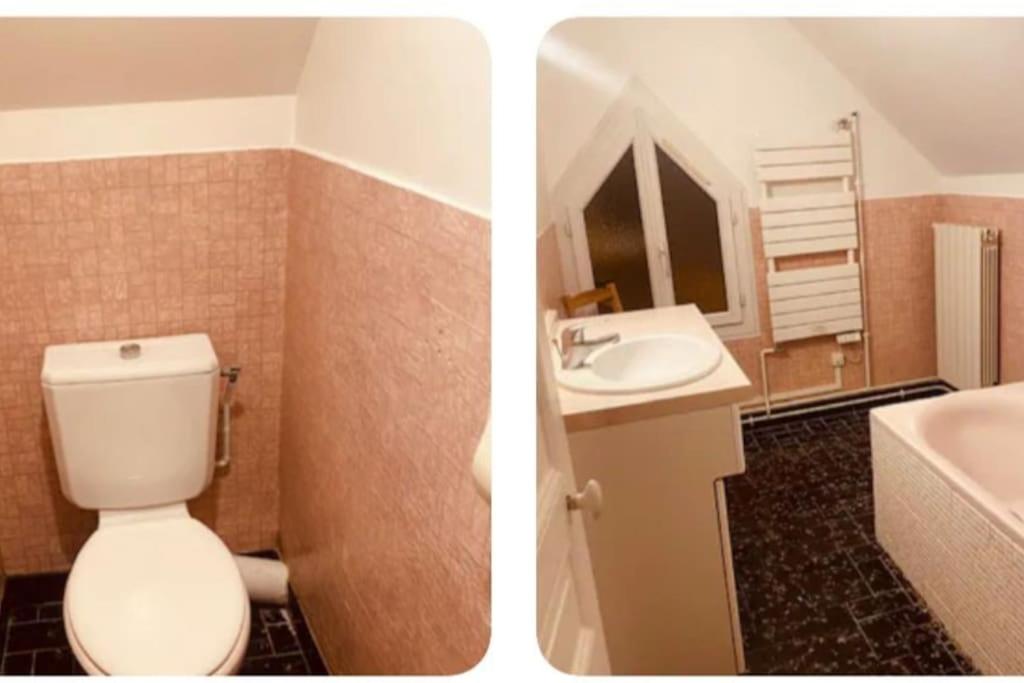 two pictures of a bathroom with a toilet and a sink at Villa rustique,saint-Joseph Enghien in Enghien-les-Bains
