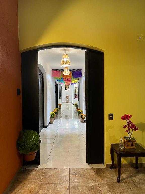 Foto dalla galleria di Alojamientos OHANA a Città di Oaxaca