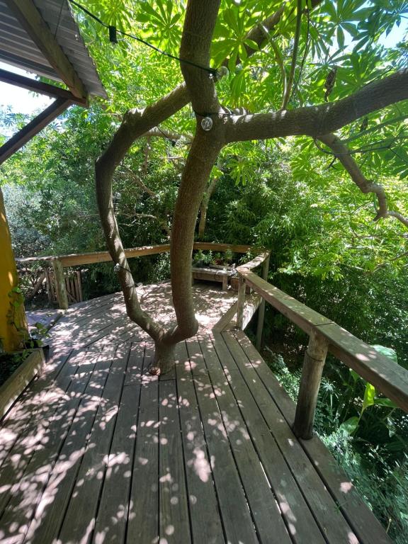 un ponte di legno con un albero sopra di Habitación con baño privado y cama doble a Piriápolis