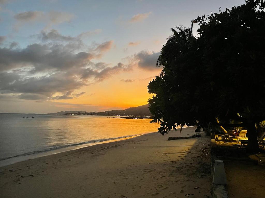 Grand Manita Beach Resort - 10