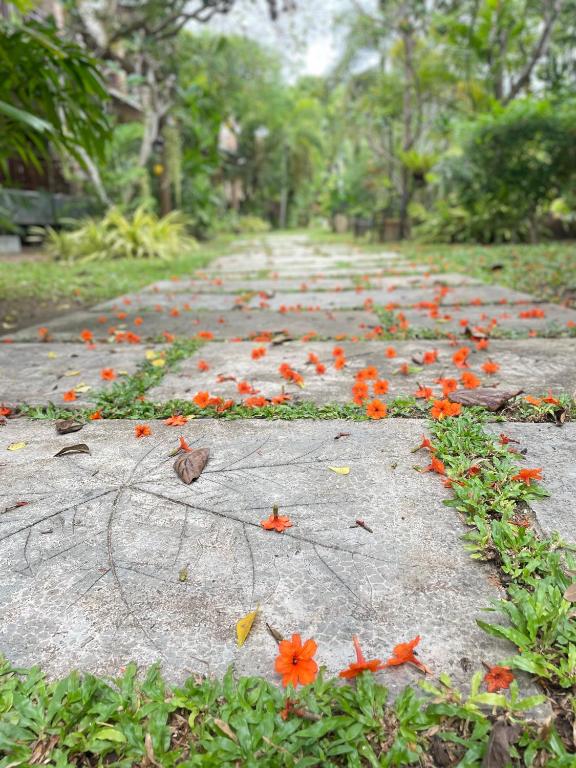 Grand Manita Beach Resort - 8