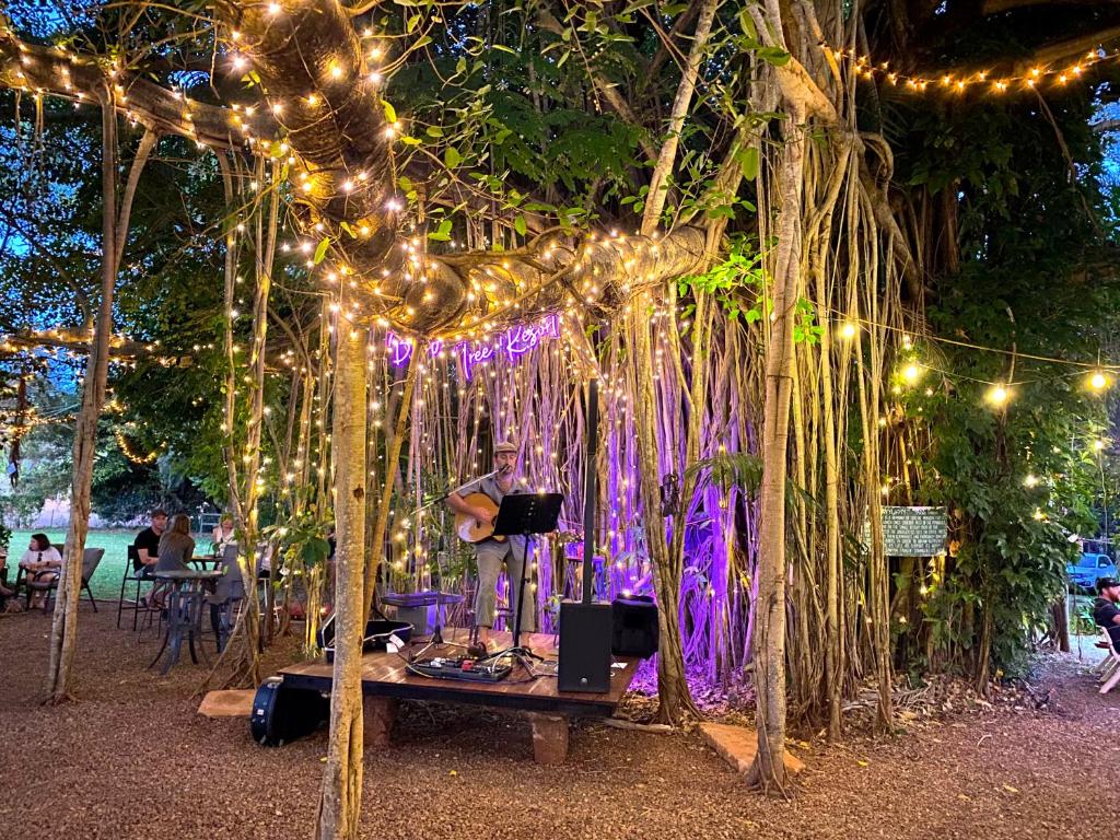 una cadena de luces colgando de un árbol con una mesa en Banyan Tree en Batchelor