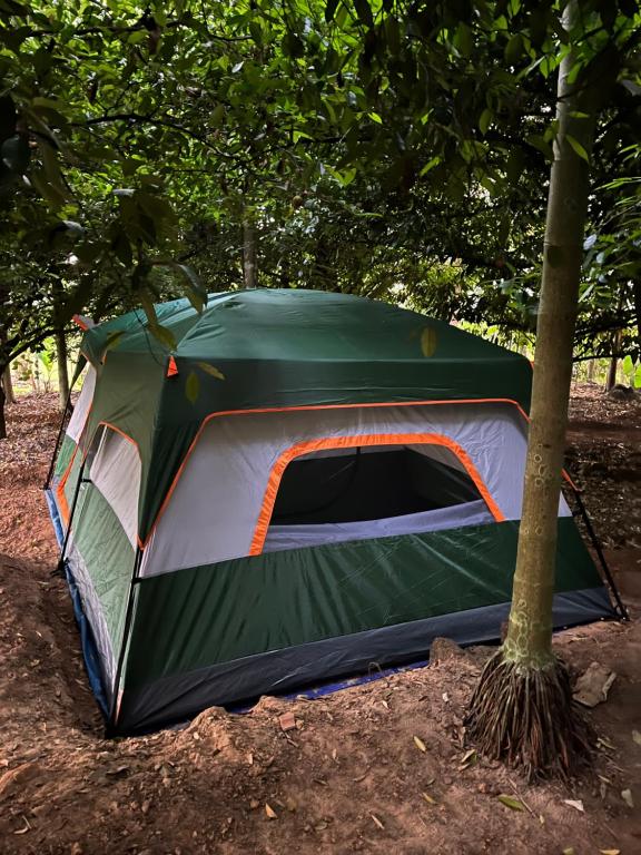 a green tent sitting next to a tree at Dragster Tents in Kizhake Chālakudi