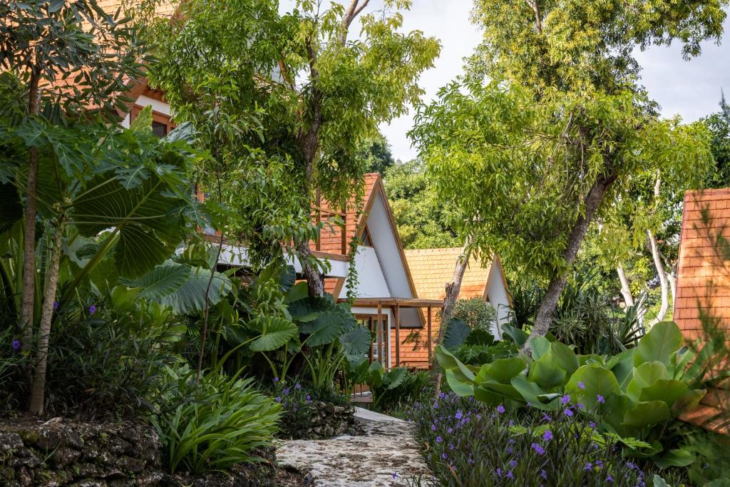 Deep Roots Dive & Yoga Resort - 7