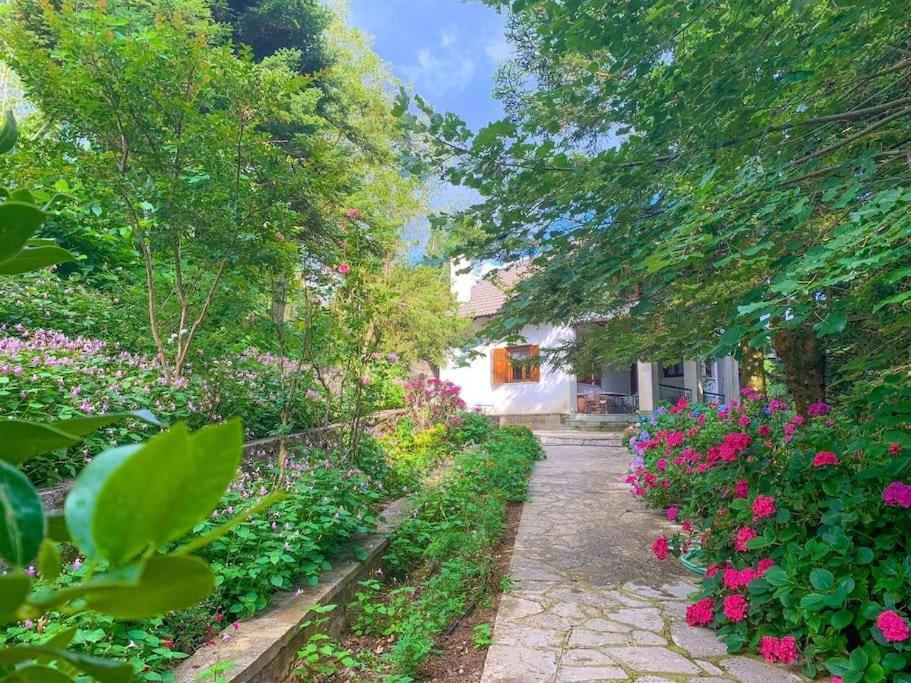 ogród z różowymi kwiatami i drzewami oraz dom w obiekcie Forest cottage top of the world w mieście Vourgareli