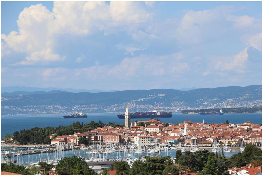 a view of a city and the water with ships at Nona Lili apartment in Izola