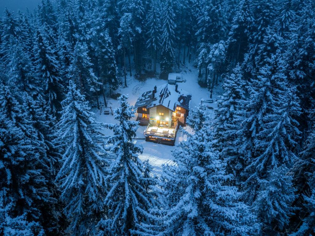 a house in the woods with lights in the snow at House Shiligarnika in Bansko