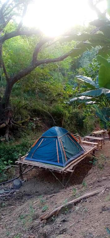 O grădină în afara Camping Ground @ Eastdee Lidlidda