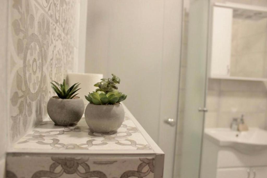 two potted plants sitting on a counter in a bathroom at Sun&Moon in Lukavica