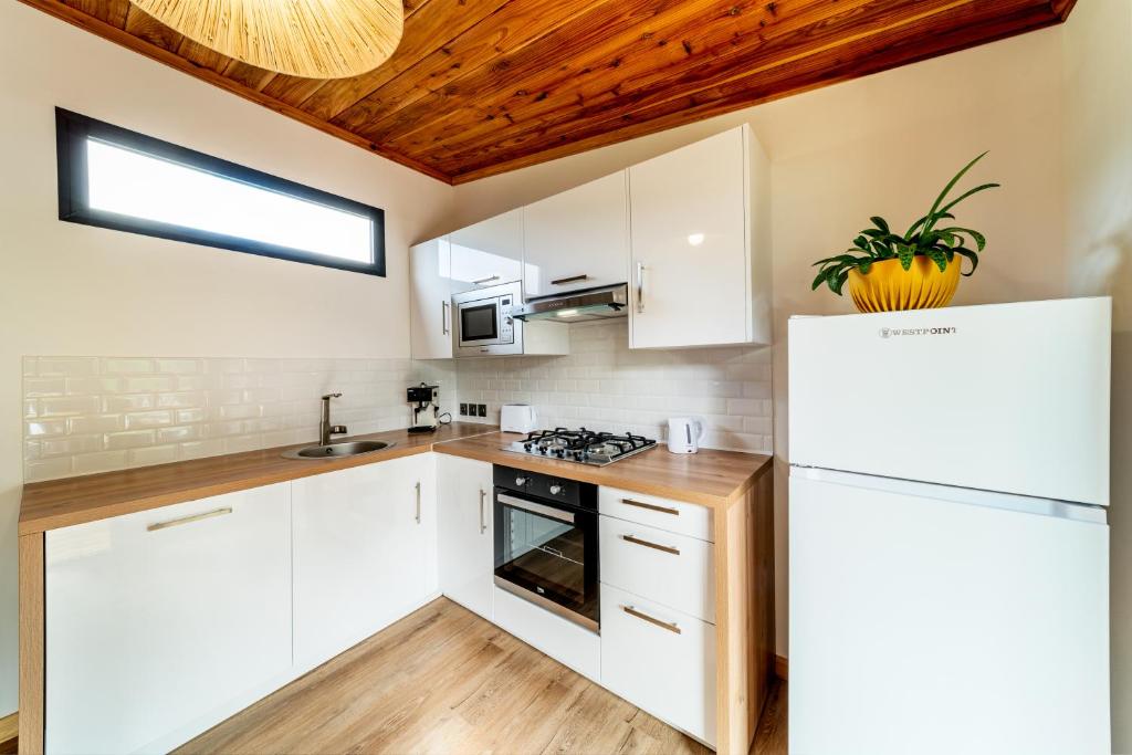 Kuchyň nebo kuchyňský kout v ubytování Bungalow L'escale de Takamaka
