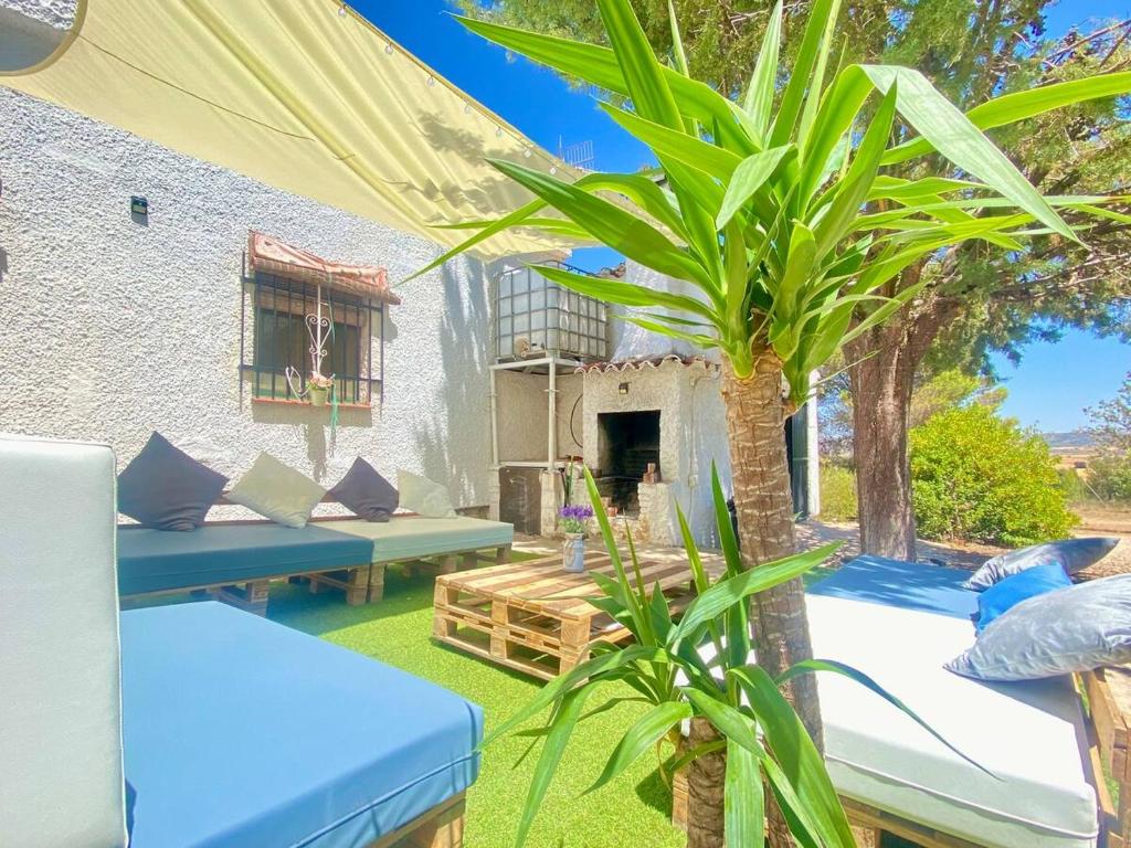 a patio with blue benches and a tree at Casa rural en naturaleza con BBQ in Villar de Cañas