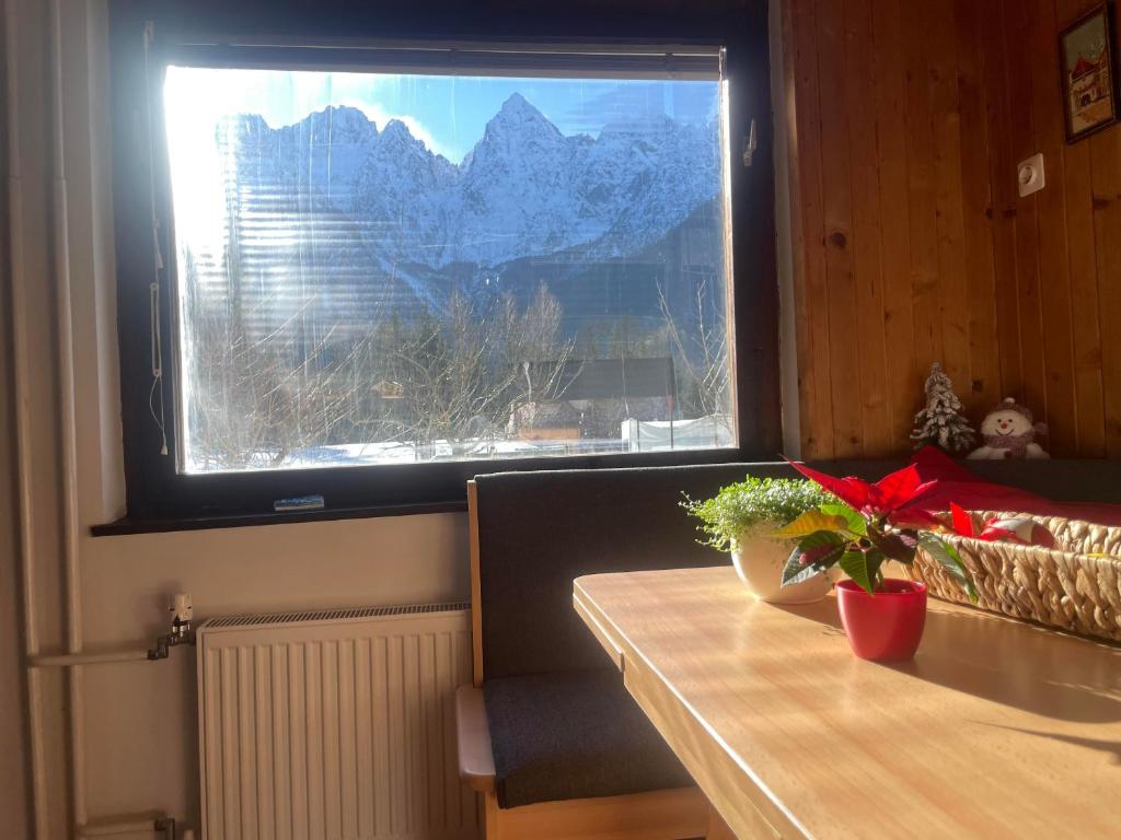 una mesa con una planta delante de una ventana en Idyllic Retreat Next to an Elven Forest en Gozd Martuljek