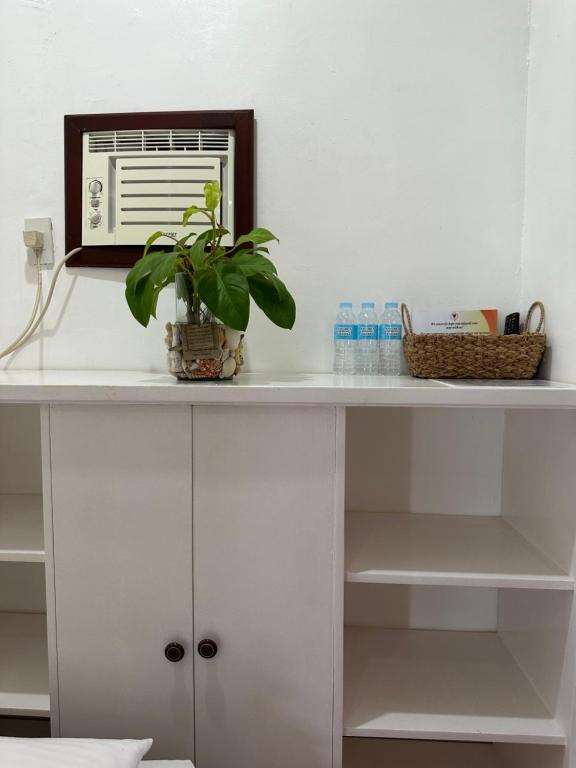 um armário branco com uma planta em cima dele em Endless Summer Hotel Baler em Baler