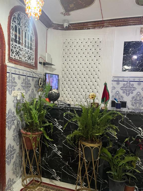 Hotel Dar Youssef 1 في مراكش: غرفة مع نباتات الفخار على الحائط