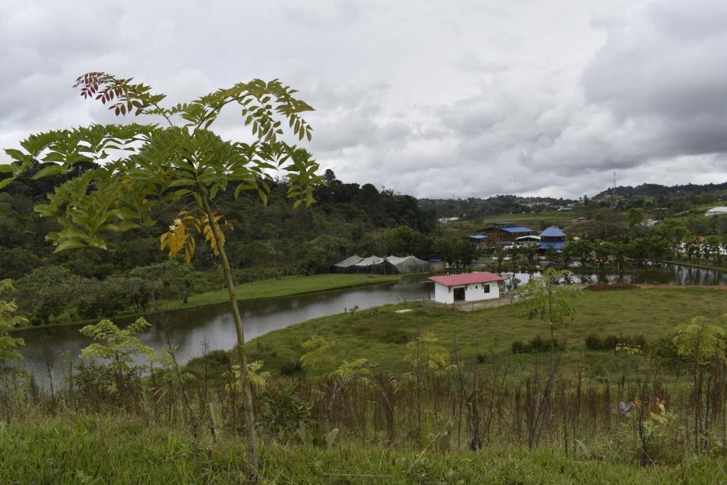 a small house on a hill next to a river at Finca el Manantial Isnos in Isnos