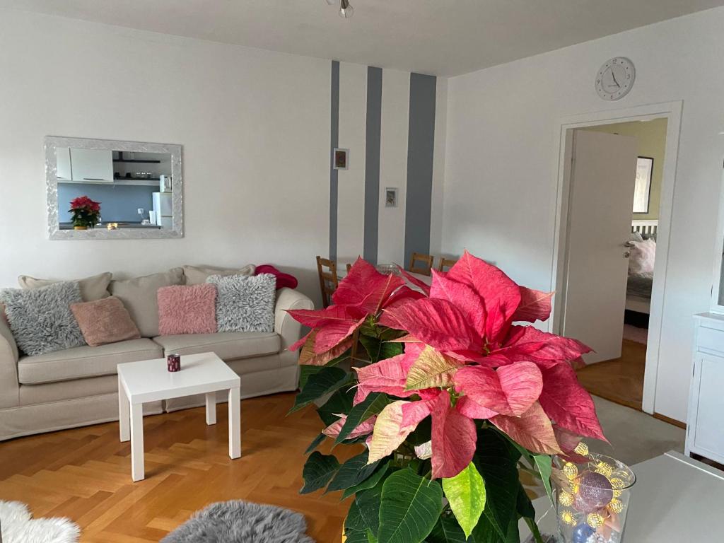 Apartment in the city center - 14