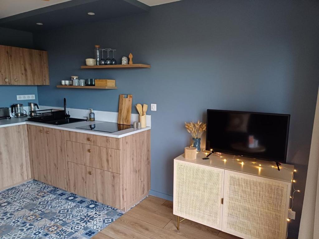Il comprend une cuisine avec un évier et une télévision sur un comptoir. dans l'établissement Bienvenue au studio l'Escale bleue !, à Saint-Cast-le-Guildo