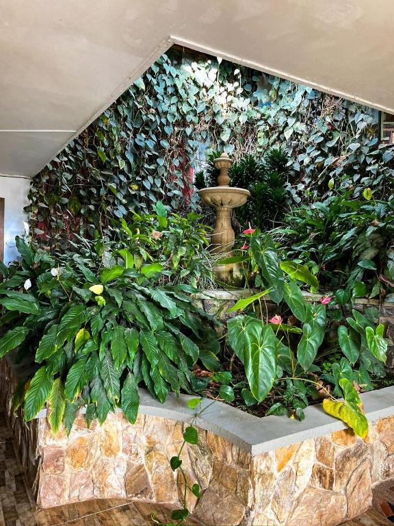 a wall covered in plants and a fountain at Hotel Spa La Colina in Pereira