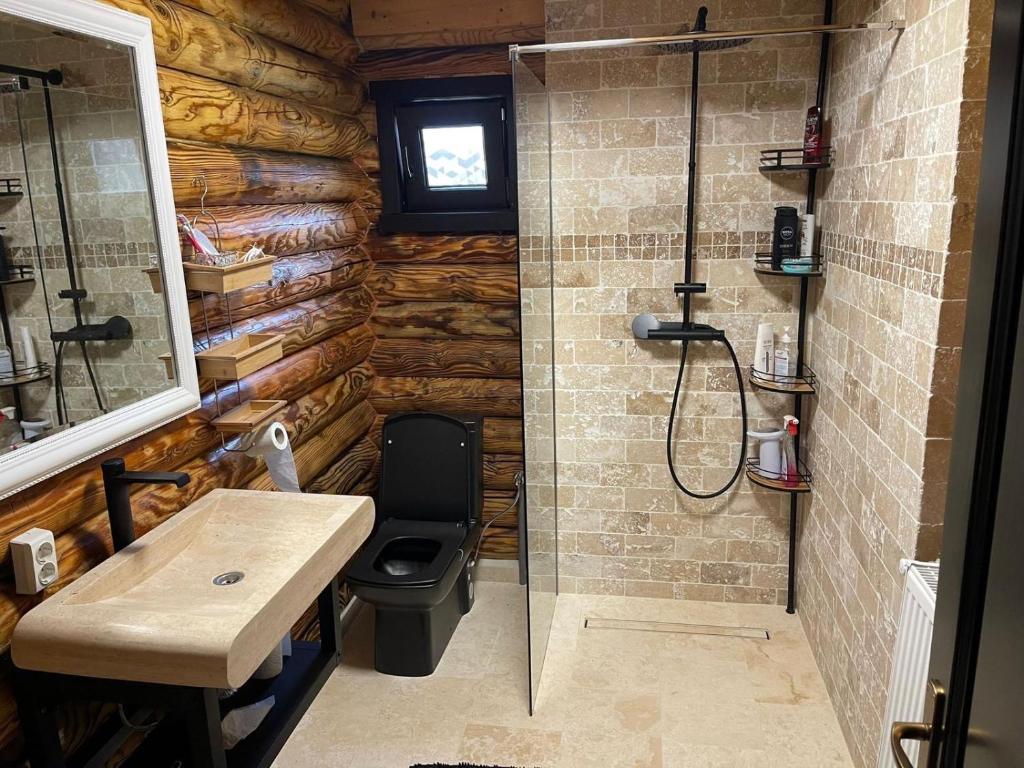 uma casa de banho com um chuveiro, um WC e um lavatório. em AirGreen Cabană 