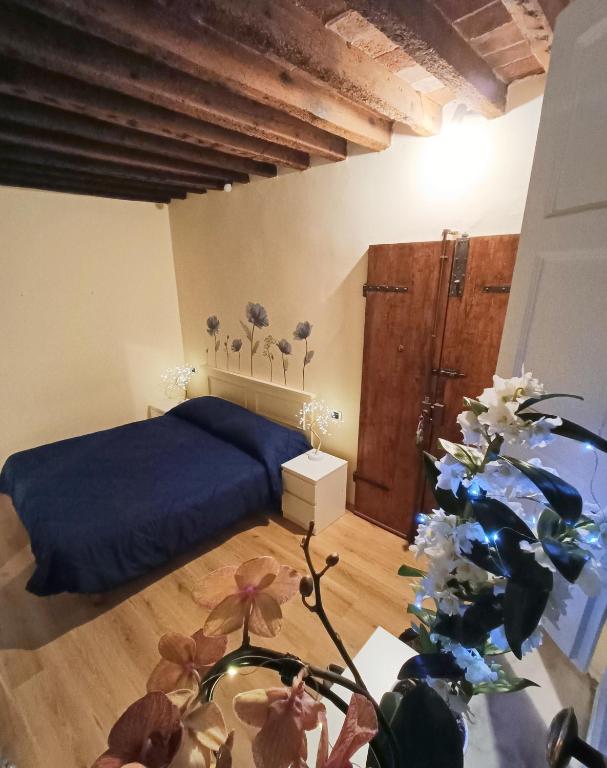 Il giardino segreto - 1