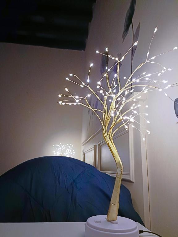 Il giardino segreto - 12