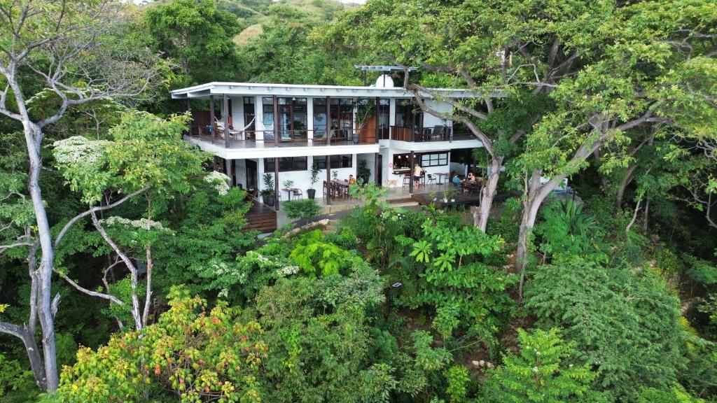 an aerial view of a house in the forest at The Hill Panama in Cambutal