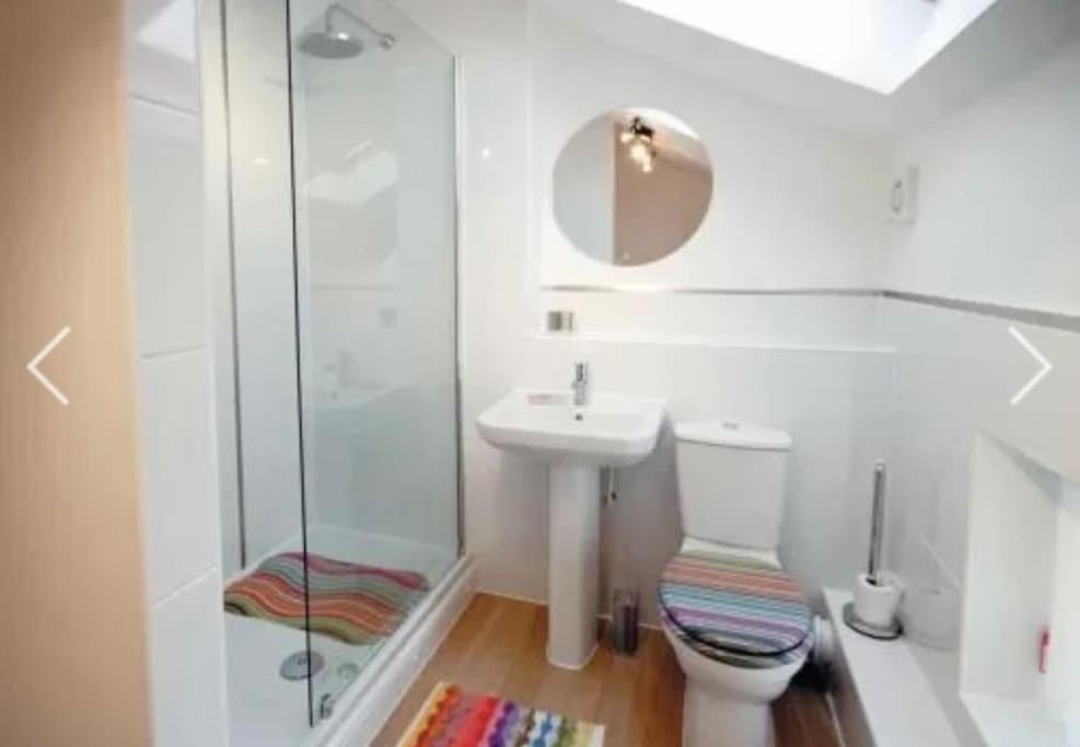 a bathroom with a toilet and a sink and a shower at Detached Pet Friendly Cottage, 2 parking spaces in Norwich