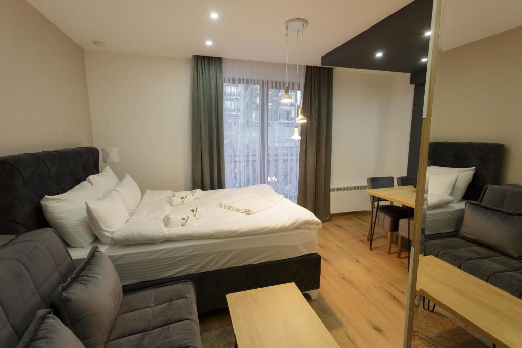 Harmonija Resort - Harmonija Kopaonik - Junior Deluxe Studio With Spa访问
