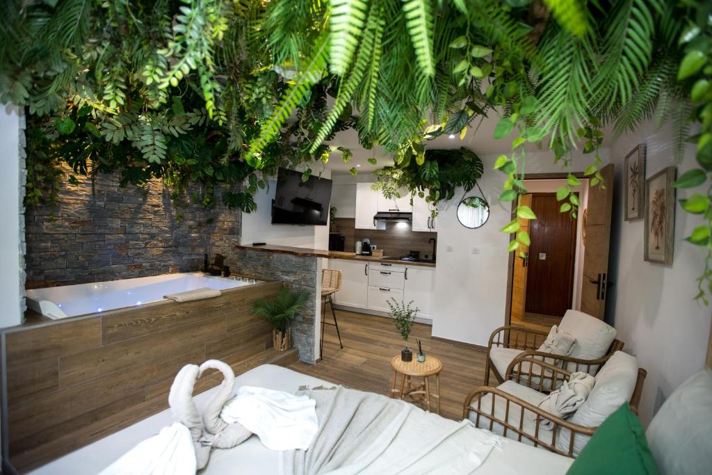 Jungle room Cannes, Cannes (updated prices 2024)
