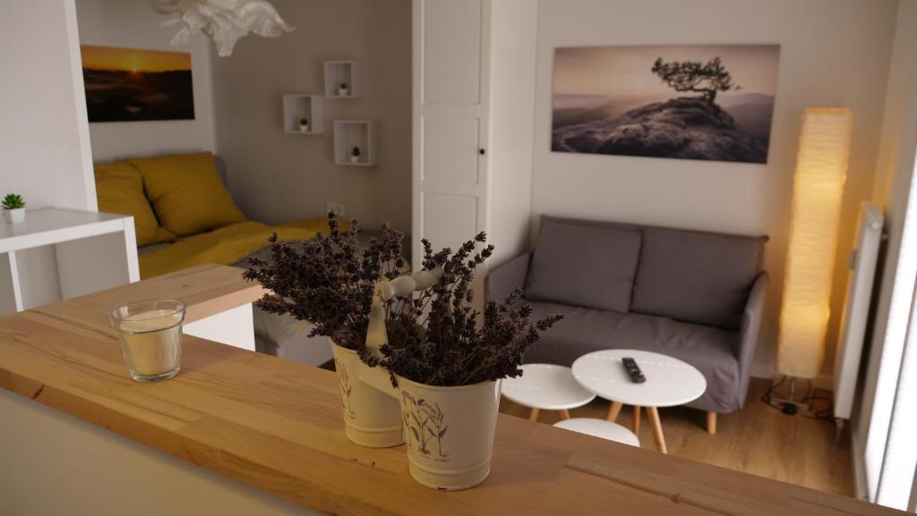 Galeri foto Ferienwohnung Gottleubapark Apartment II di Pirna