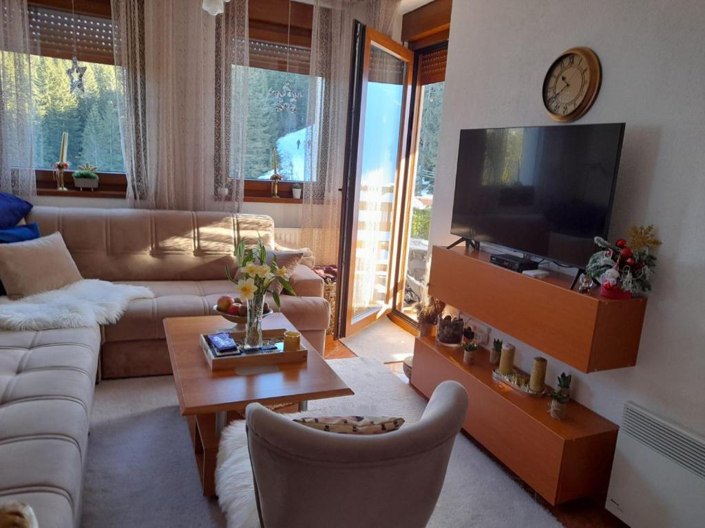 弗拉西克的住宿－Apartman Royal Vlašić，带沙发和电视的客厅