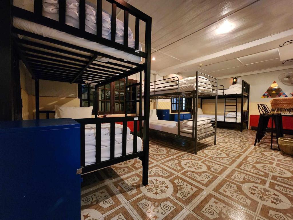 
Bunk Bed in Male Dormitory Room 
