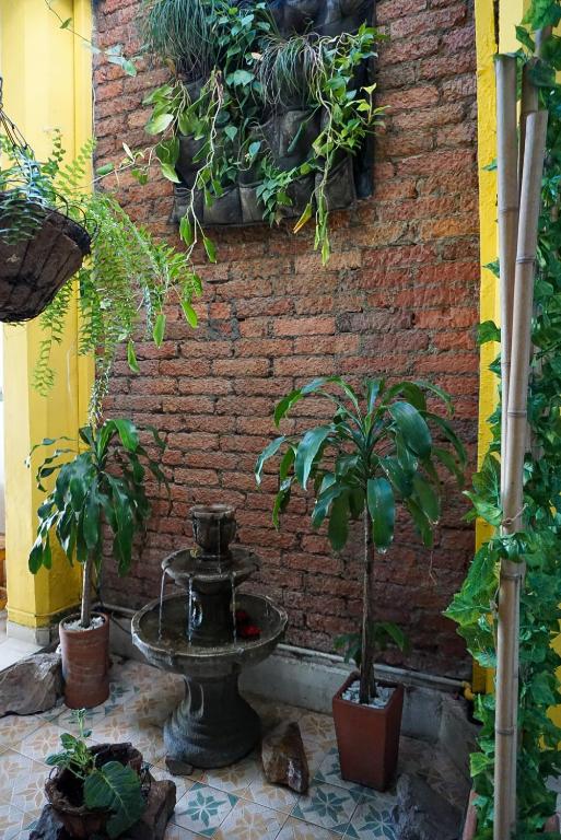 Zahrada ubytování La Casa de Adry