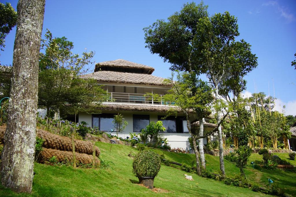 Thekkady – Photos 1
