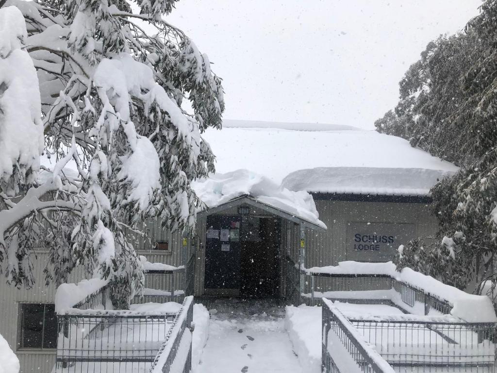 a snow covered entrance to a building with a door at Schuss Alpine Club, Falls Creek in Falls Creek