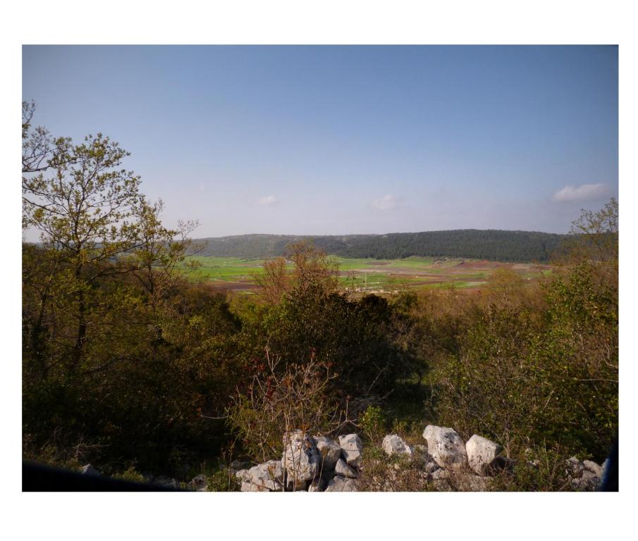 a view of a field with trees and rocks at La Casa di Anna G. in Alberobello