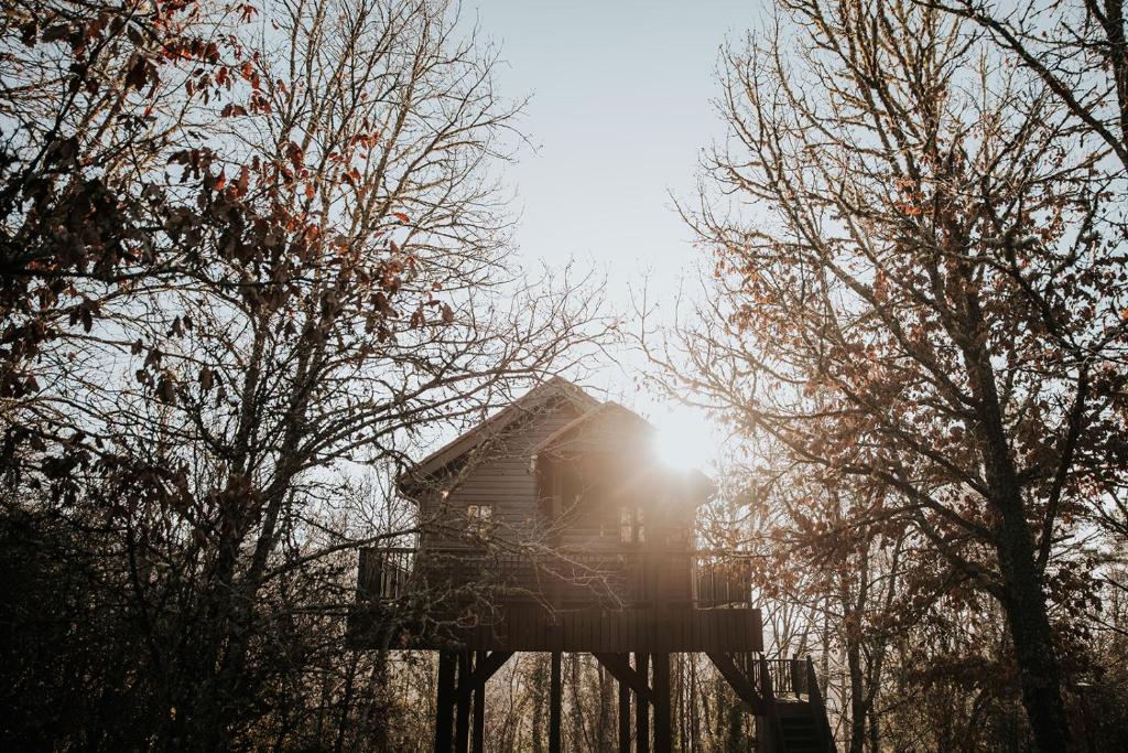 オリアック・デュ・ペリゴールにあるCabane Rouge-Gorgeの木々に照らされる日差しの木の家