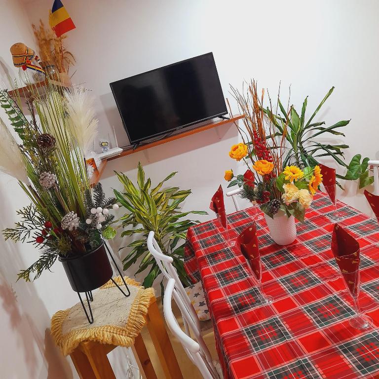 Apartment boulevard Cetate - Apartment Mit 2 Schlafzimmern