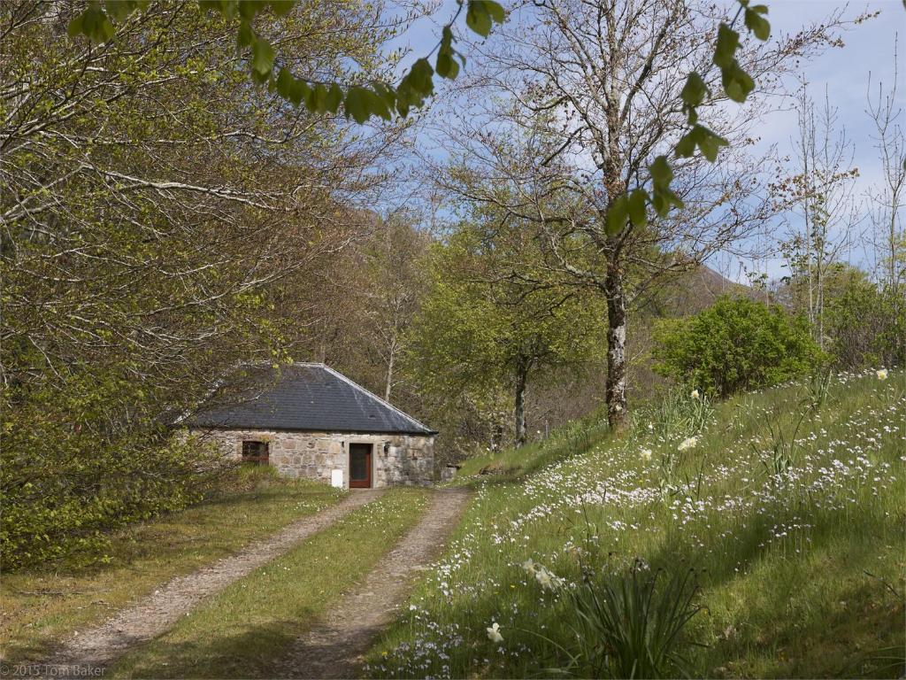 a small stone building in a field with a dirt road at 1 Bed in Applecross CA186 in Applecross