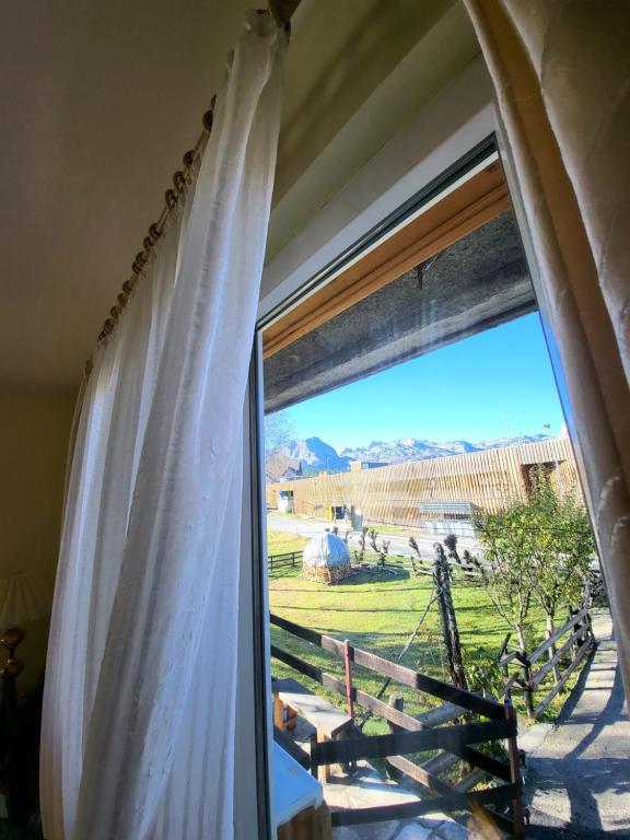 Apartments center Zorić - 15