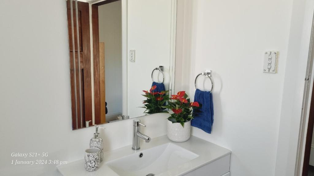 a bathroom sink with a mirror and a vase of flowers at Middle of Everywhere in Motueka