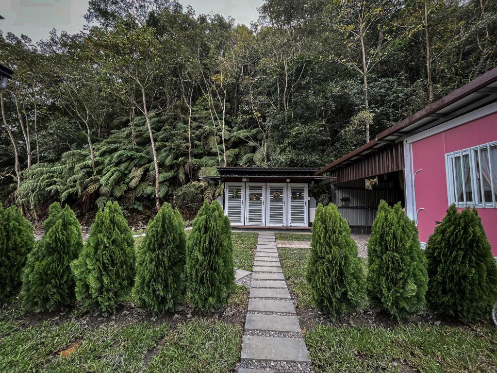 鉄木彩虹小屋 في Yü-lan: صف من أشجار الصنوبر أمام المنزل