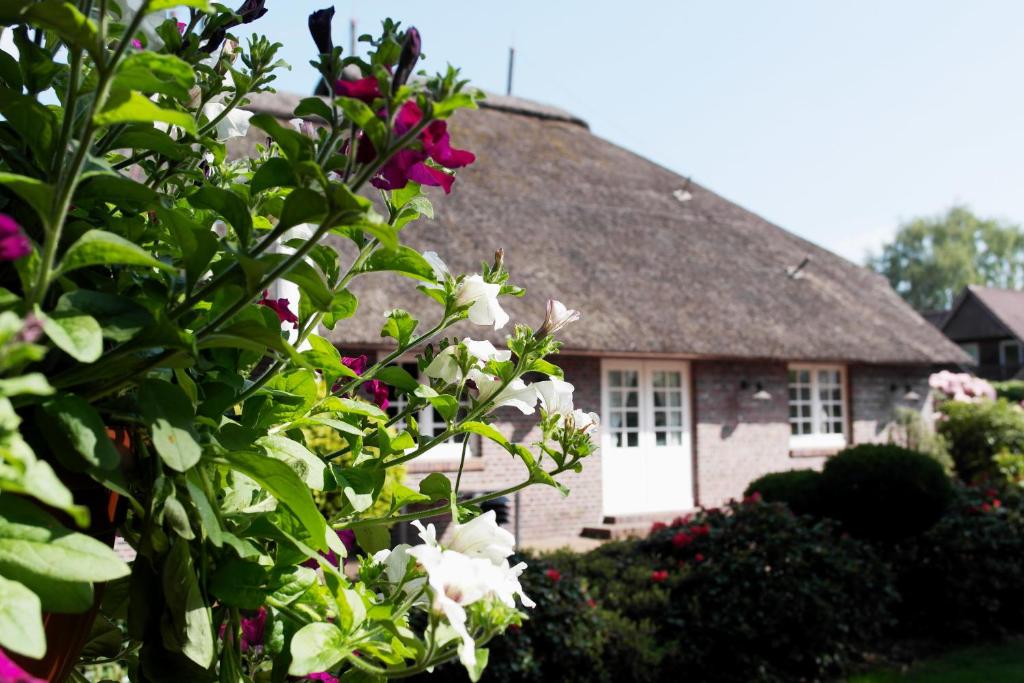 Zahrada ubytování Hotel Blauer Fasan