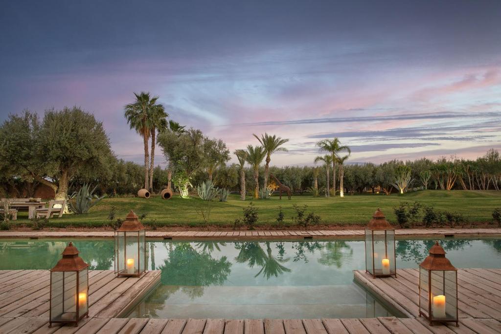 a pool of water with palm trees in the background at Villa MISH-MISH in Marrakesh