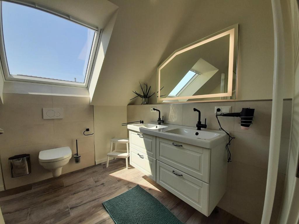 ein Badezimmer mit einem Waschbecken, einem Spiegel und einem WC in der Unterkunft Ferienhaus Seepferd in Holnishof