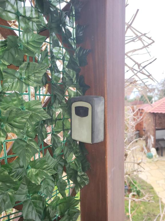 Studio Colmar avec jardin privatif – photo 15