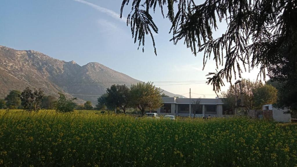 Sariska Nature Estate